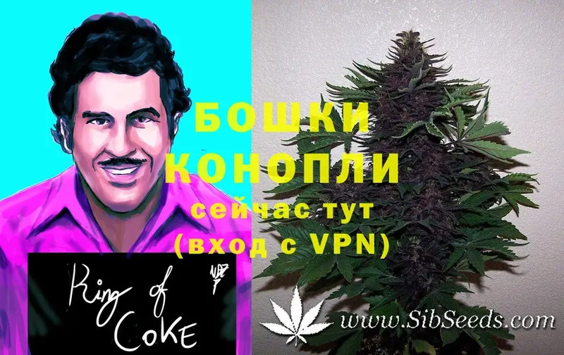 МАРИХУАНА OG Kush  Опочка 